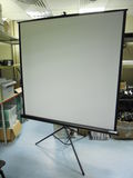 Экран для проектора Projecta ProView 160x160см - Pic n 255892