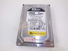 Жесткий диск HDD SATA 250Gb Western Digital RE4 - Pic n 279964