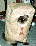 кот в мешке