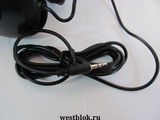 Монитор TFT 17" Dell 1704FPVs ,1280x1024, 280 кд/м2, 1000:1, 25 мс, 160°/140°, VGA/DVI/USB хаб,поворот на 90° /Черный /2005года (в комплекте кабеля)